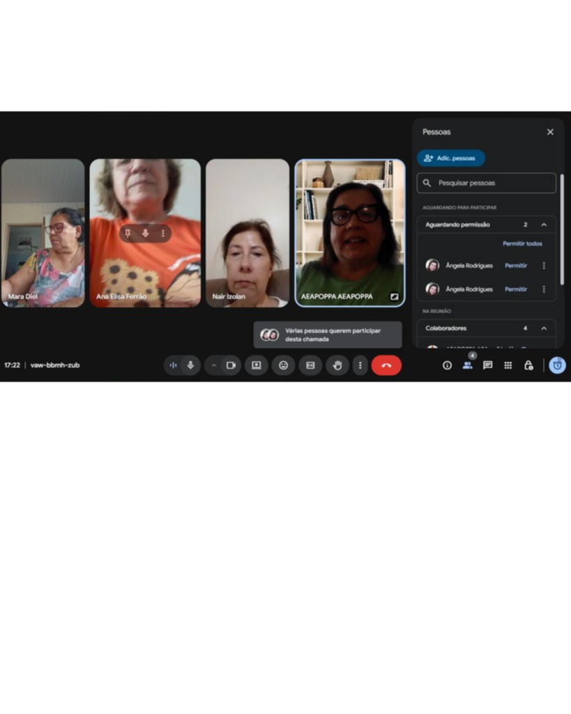 reuniao diretoria 28/11/2025